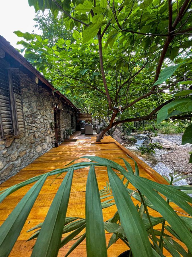 The Hunter House Villa Ciudanovita Exterior photo